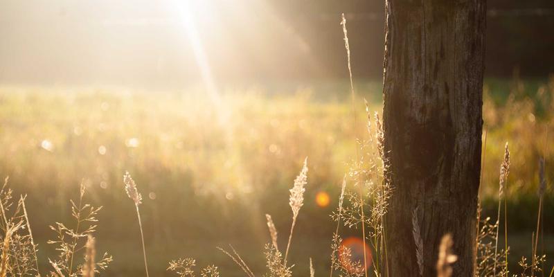 AI重塑未来：人工智能时代职业技能培训的三大变革方向