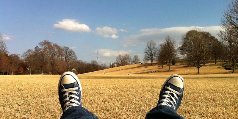 从课程交付到生态共建:职业技能培训如何通过社区化运营打造终身学习者“引力场”