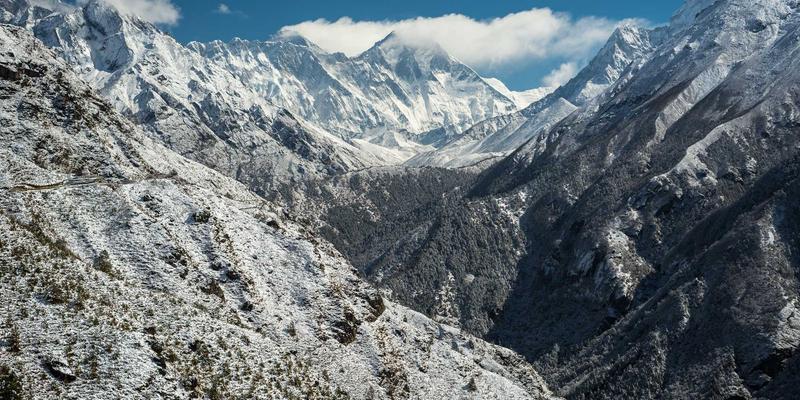 告别“一刀切”：揭秘职业技能培训中的个性化学习路径推荐算法如何重塑商务管理与IT教育