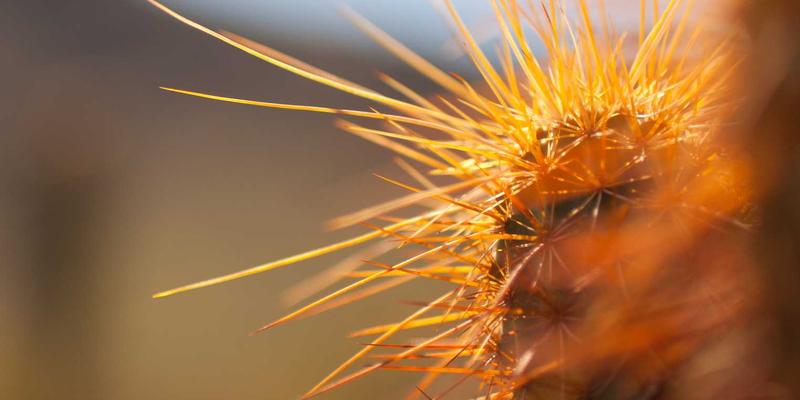 破解就业难题：职业技能培训与学历教育融合的168培训新模式