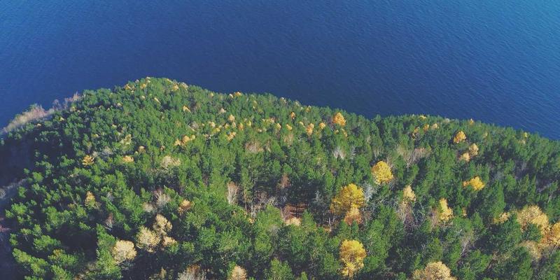 精准赋能区域经济：长三角、珠三角如何以IT与设计培训驱动产业升级