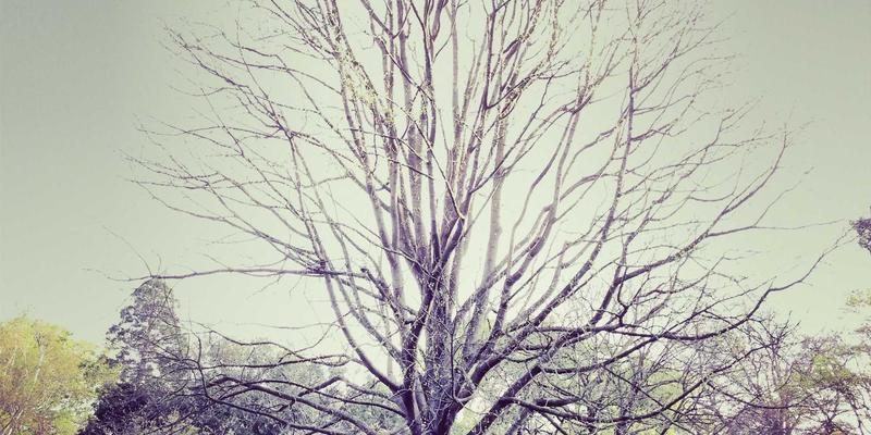 超越硬技能：揭秘168培训体系中沟通、领导力与批判性思维的课程设计密码